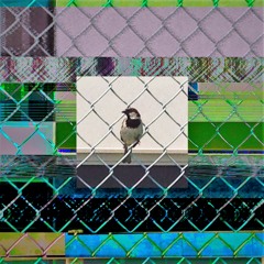 Nothing Ever Mattered