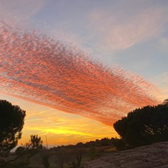 Travels (Pat Metheny)