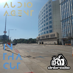 In Tha Cut 198 (DNBRadio 08-24-2025)