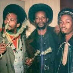 Bingy Bunny- Young Lover