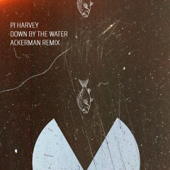 PJ HARVEY - DownByTheWater (AckerMan Remix ) - FREE DL