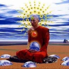 all black tesla (sheba)