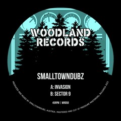 Smalltowndubz - Sector 9