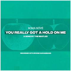 You Really Got A Hold On Me (The Beatles)
