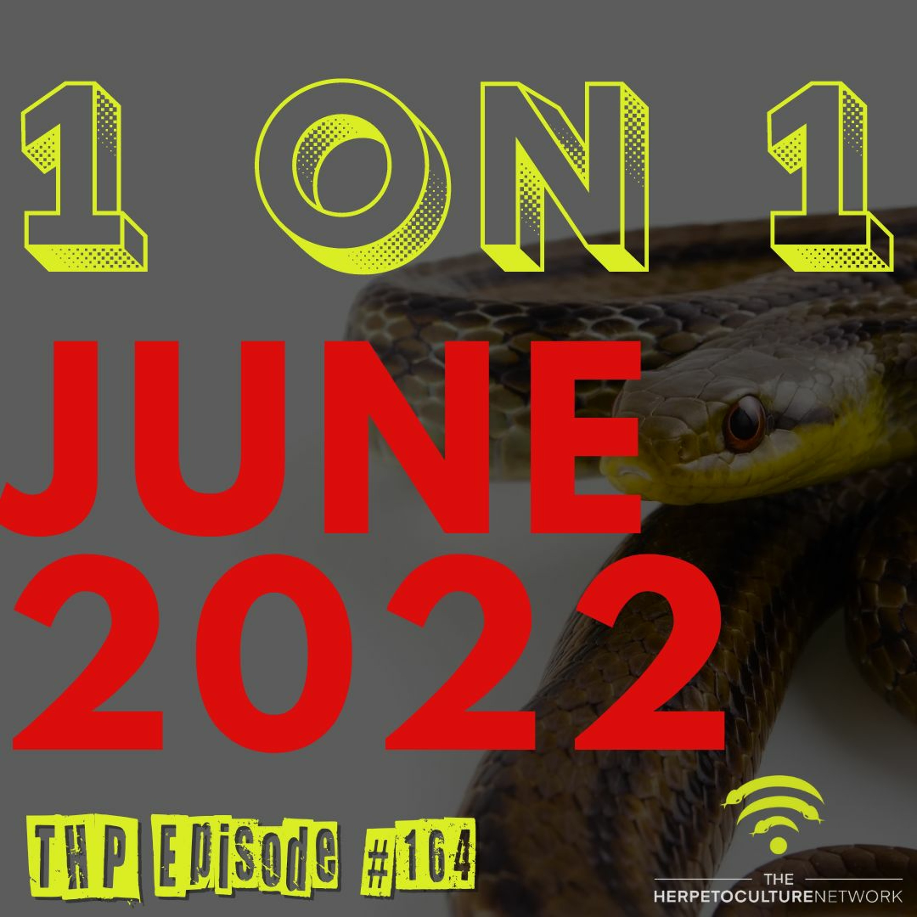 1 on 1 - June 2022