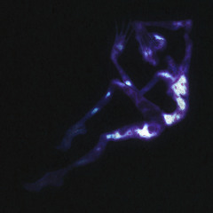 Липневий вечір