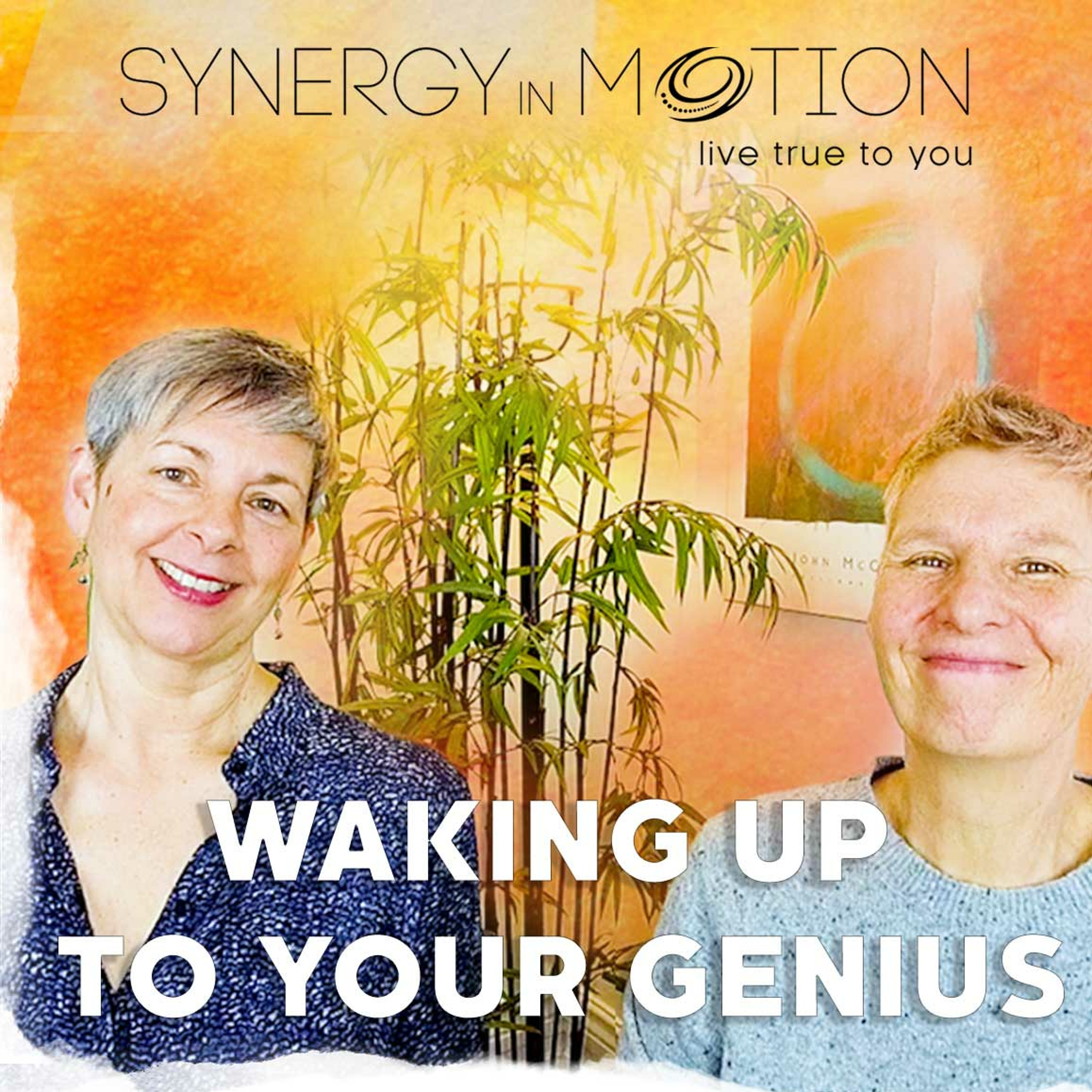 Waking Up To Your Genius ~ Hexagram 21 and 51 episode artwork