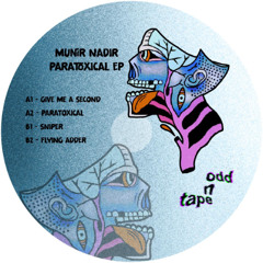 Munir Nadir - Paratoxical EP // ODDOT03
