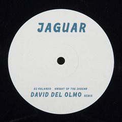 Dj Rolando - Knight of the Jaguar (David del Olmo Remix)