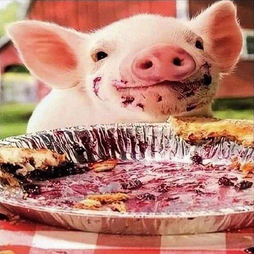 ephimkane triplephim