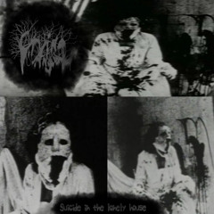 Suicide in The Lonely House