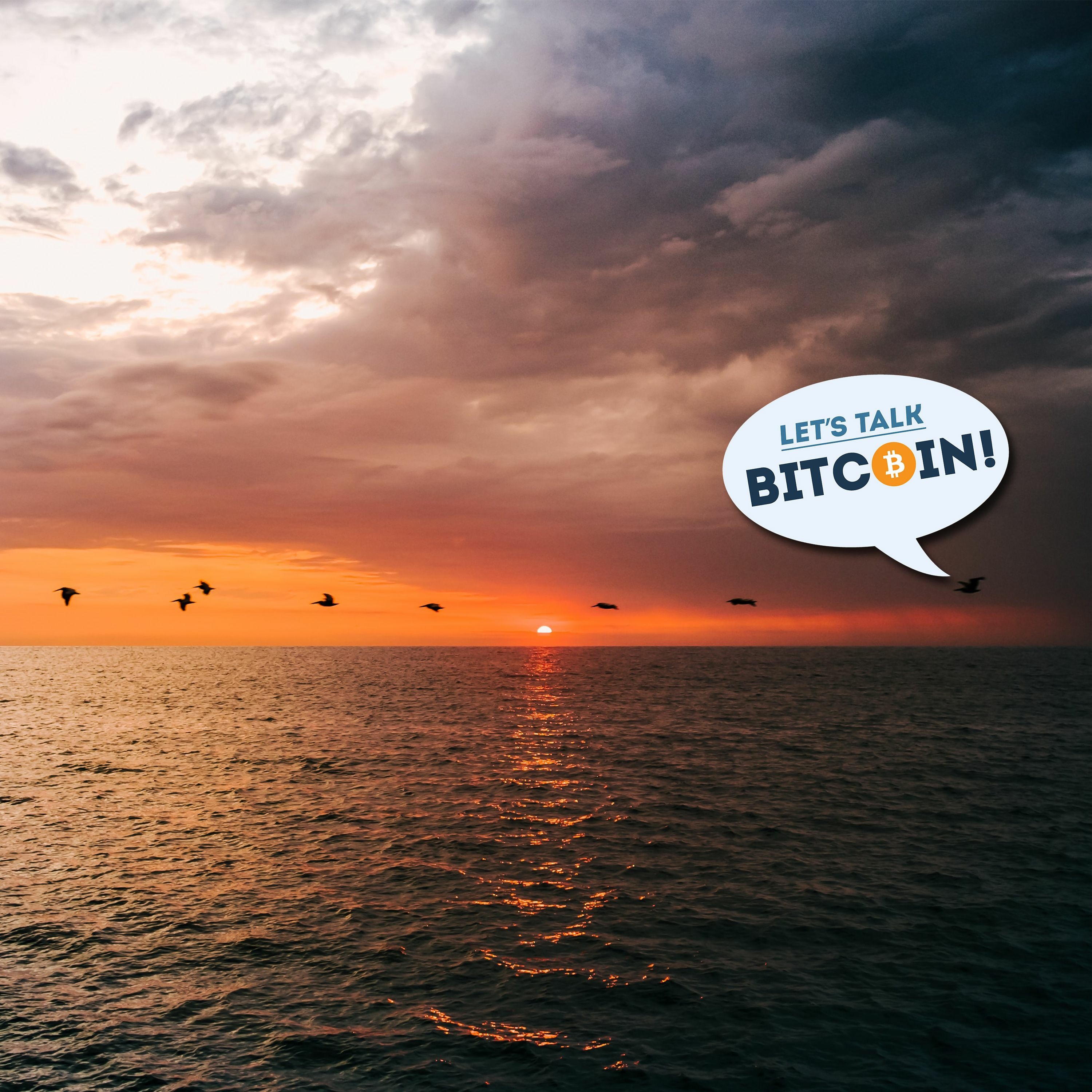 LTB #431 Bailouts, Bitcoin, Disruption, Failures and Hope