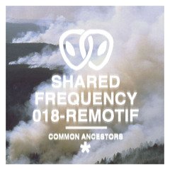Shared Frequency 018: Remotif