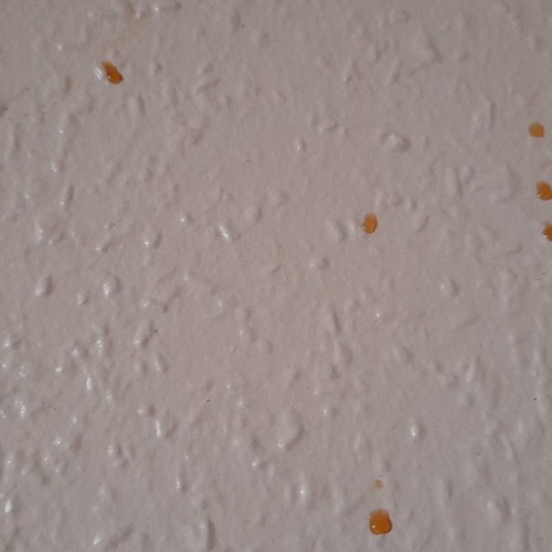 hk_calm-steady_tracks_526
