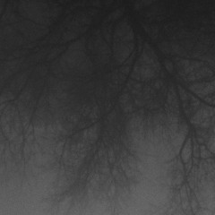 Shivers Under the Summer Sun