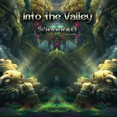 07- N3xu5 - Into The Valley