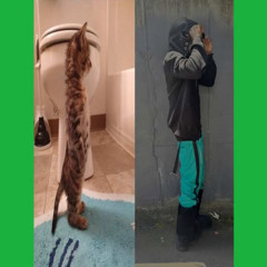 Slimeballchrissy - Not A Chance 2 (prod. mirza) [DJ Estefan Exclusive]