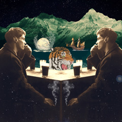 Tiger's Incident On The Night Seashore