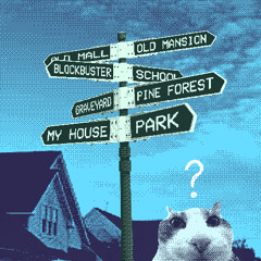 Incognitive Thinking