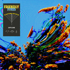 Run The Wild Flowers (Icarus Remix)