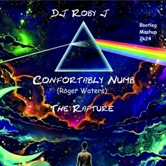 Confortably Numb Vs The Rapture - Dj Roby J (Bootleg Mashup)