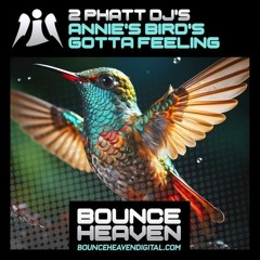 2 Phatt Dj's - Annies Bird's Gotta Feeling