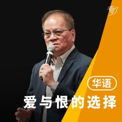 爱与恨的选择（华语）08/12/2024