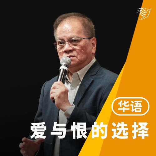 爱与恨的选择（华语）08/12/2024