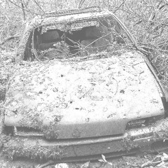 I am not sometimes, I am forever (better mixed ver)