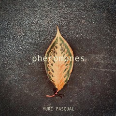 DHAthens Premiere: Yuri Pascual - Pan [Hug Records]