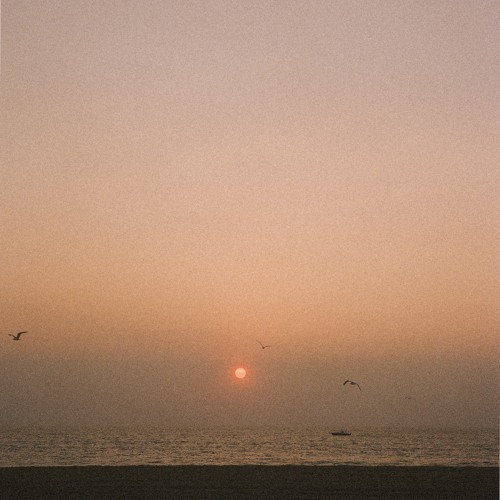 morning light (vol. 2)