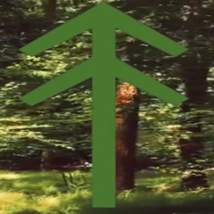 мешок с поршнями p. yung sick beatz