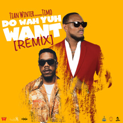 Do Wah Yuh Want (Remix) [feat. Timo]