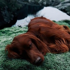 Эй Малая.v2.mp3