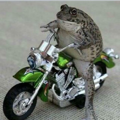 crazyfrog2009 freestyle