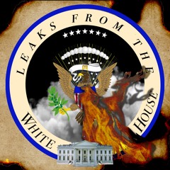 Leaks From The White House from CYN President