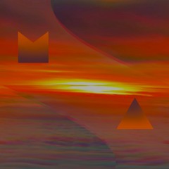 Fly on sunset