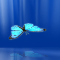 belca - "FOREVER" EP teaser