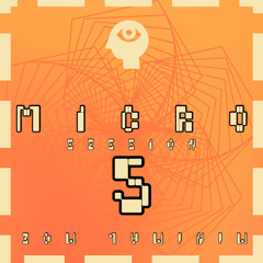 micro - session 5