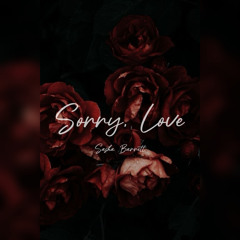 Sorry, Love