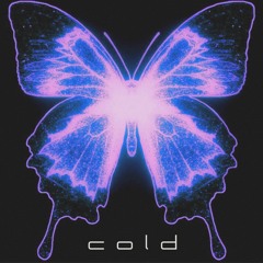 COLD (prod. by Tunnel Vision)