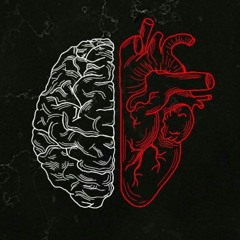 We Go High Crazyfox Ft. Prophesee Levi