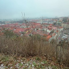 STARRY NIGHT SKY FREESTYLE