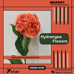 Hydrangea Flowers Buy Online for Various Décor Eventual, Best Price
