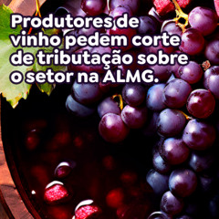 Produtores de vinho pedem corte de tributação sobre o setor na ALMG