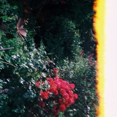 moon & I (voice memo)