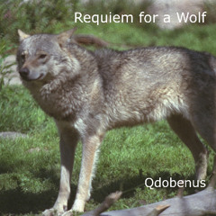 Requiem for a Wolf
