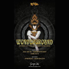 Synergist B2B Sean Bauzay @ Wonderground Pt.2 - Breaks Mix