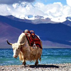 Namucuo // FREE RZA SYLE BOOM-BAP BEAT // Wu-Tang Chill Hip-Hop Instrumental w/ Guitar & Flute