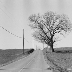 Appalachia Ambient w/ Matt Fox 290925